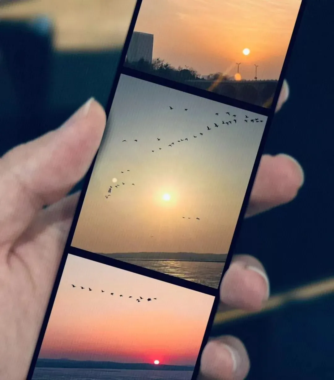 南京市、盐城市2026届高三年级第一次模拟考试|作文“井底之蛙”审题立意 第7张