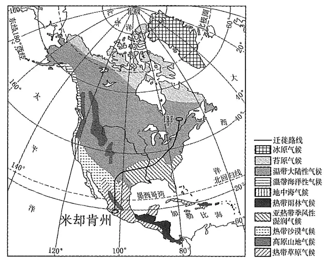中考地理|1.5h跟练「第六单元:认识非洲、美洲」 第7张