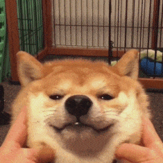 剑雅真题究竟怎么刷?你真的刷对了吗? 第9张