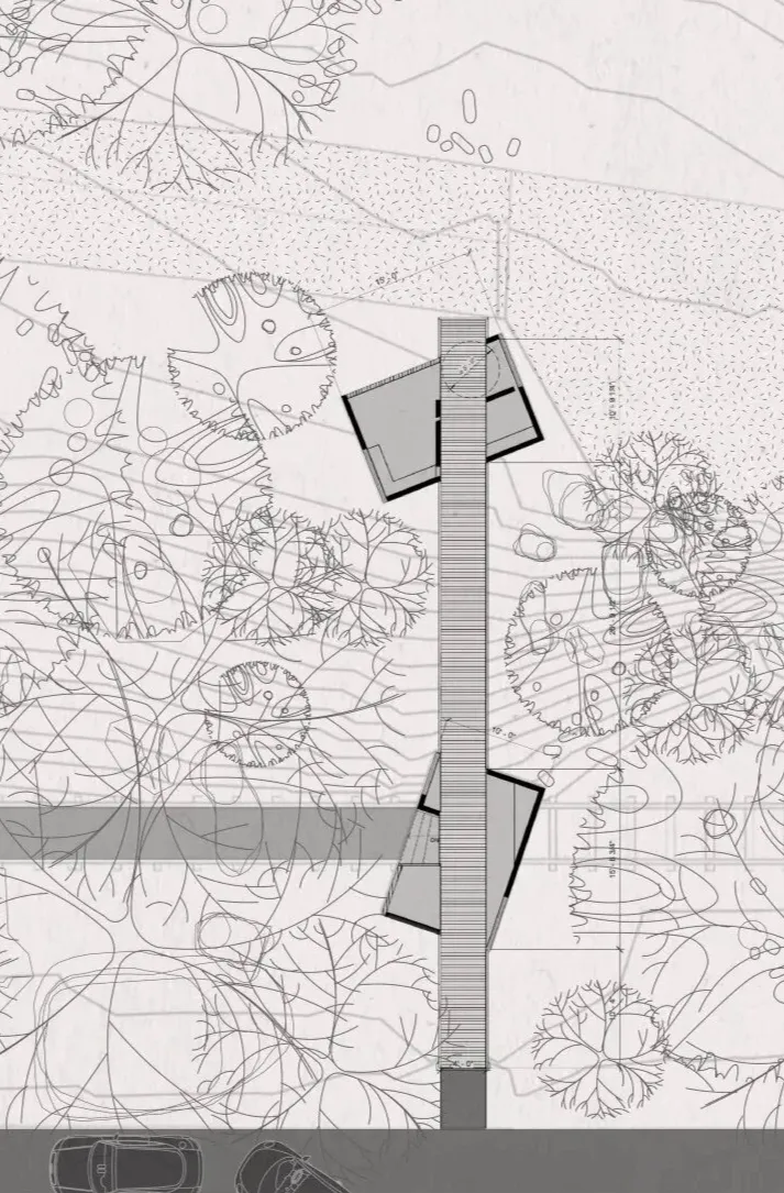 2022年西北农林科技大学真题解析 第4张 2022年西北农林科技大学真题解析 第4张