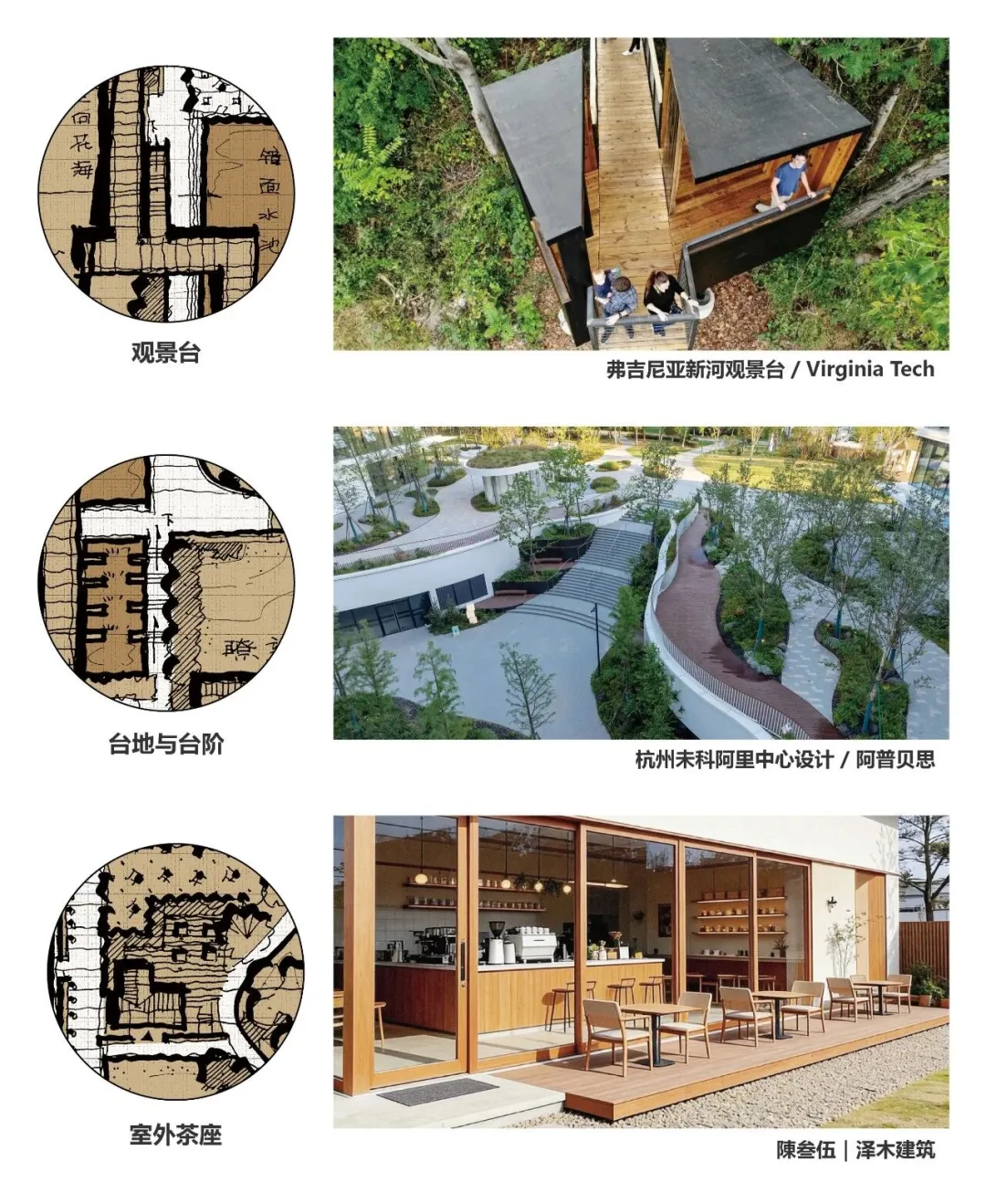 2022年西北农林科技大学真题解析 第8张 2022年西北农林科技大学真题解析 第8张