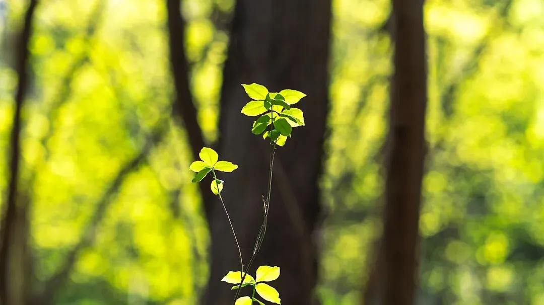 中考道德与法治时政热点分析 第3张 中考道德与法治时政热点分析 第3张