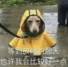 考生注意!官方发布中考体育温馨提示 第3张