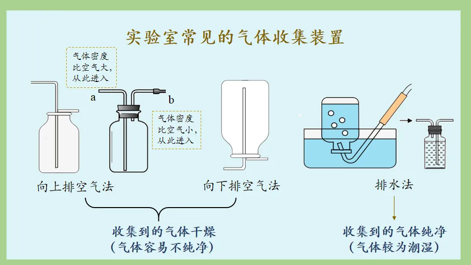 中考化学复习:碳和碳的氧化物 第42张