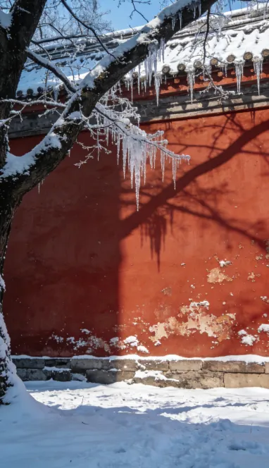 2026中考押题作文:《那一刻我长大了》《困境间的诗与路》《美好这般纯粹》《青春梦绘未来》《书中探寻美好》值得反复背诵! 第1张 2026中考押题作文:《那一刻我长大了》《困境间的诗与路》《美好这般纯粹》《青春梦绘未来》《书中探寻美好》值得反复背诵! 第1张