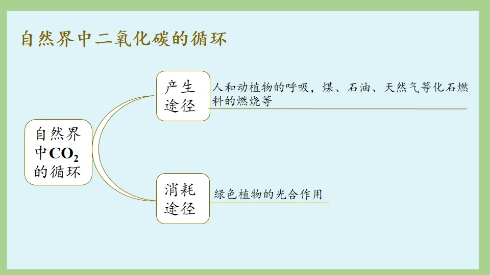 中考化学复习:碳和碳的氧化物 第74张