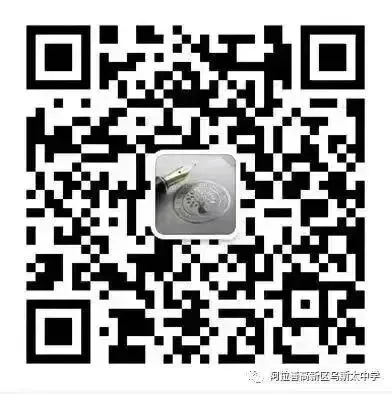 百日誓师砺锋芒,逐梦中考启新程!阿拉善高新区(乌斯太镇)第一中学誓师暨表彰大会圆满举行 第29张