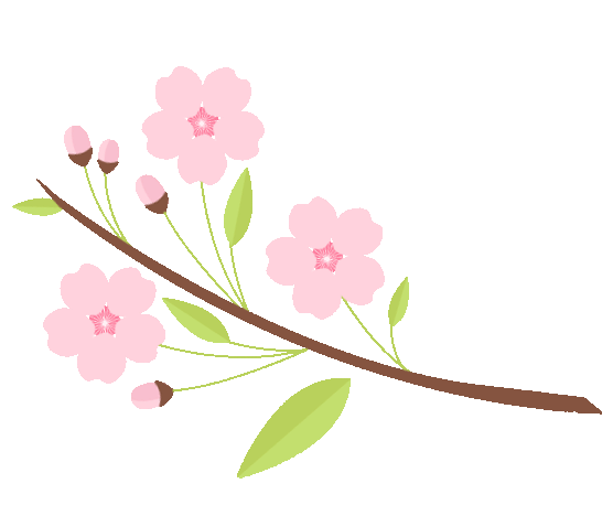 中考不足百天,如何提高记忆力? 第4张