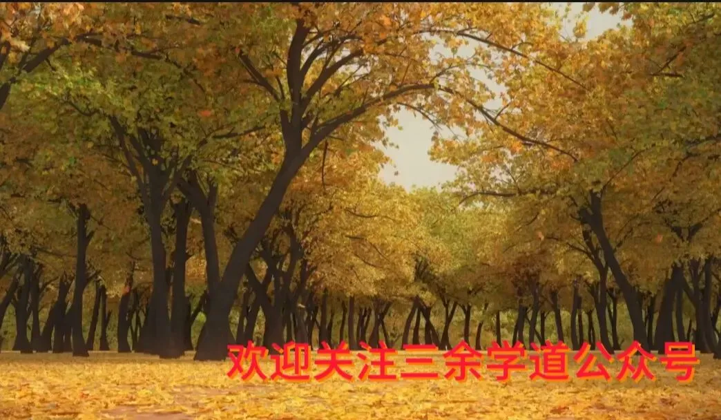 中考议论文习作训练 第2张