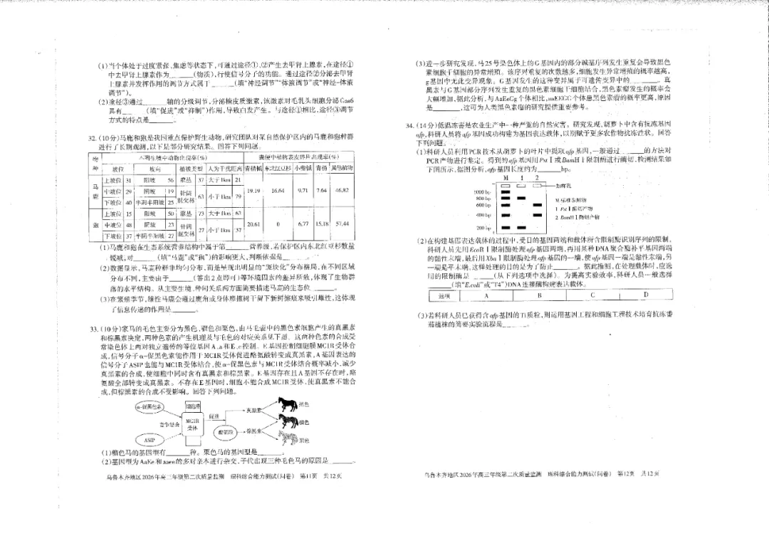 全科试卷!乌鲁木齐26年高三年级第二次质量监测 第39张