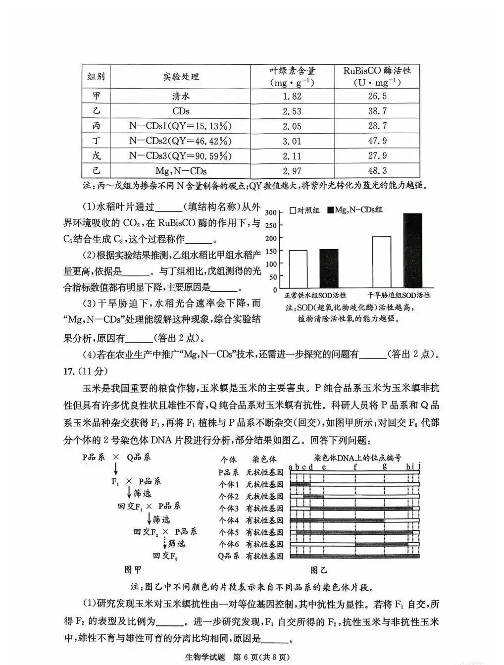 齐了!2026届成都二诊全科试卷及答案 第27张 齐了!2026届成都二诊全科试卷及答案 第27张