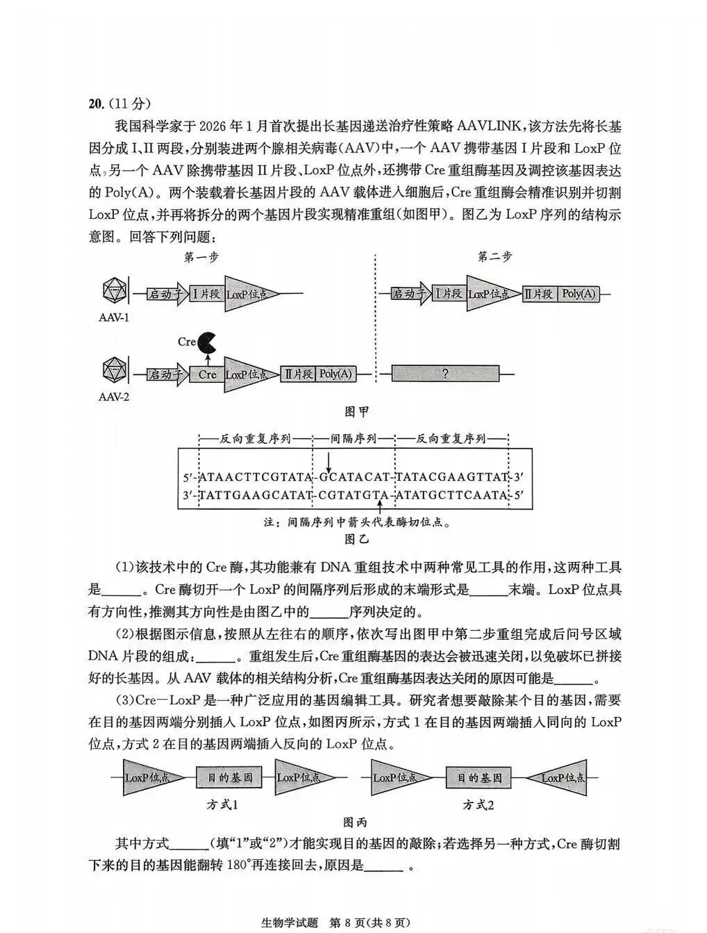 齐了!2026届成都二诊全科试卷及答案 第29张 齐了!2026届成都二诊全科试卷及答案 第29张