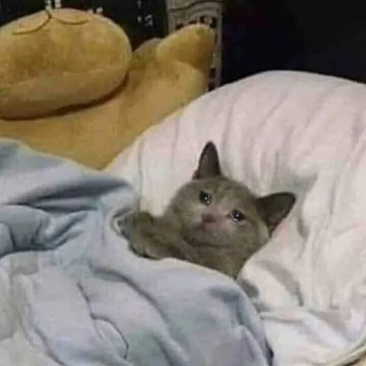 CSCA三月真题点击就送真的吗?是真的!CSCA March real exam question, free with a click? Really?yes! It's true! 第2张