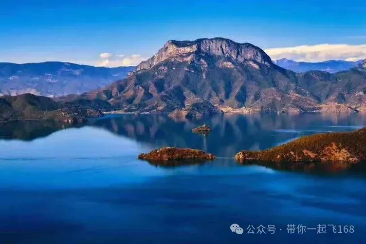 中考满分作文:《又见花开,真好》 第2张