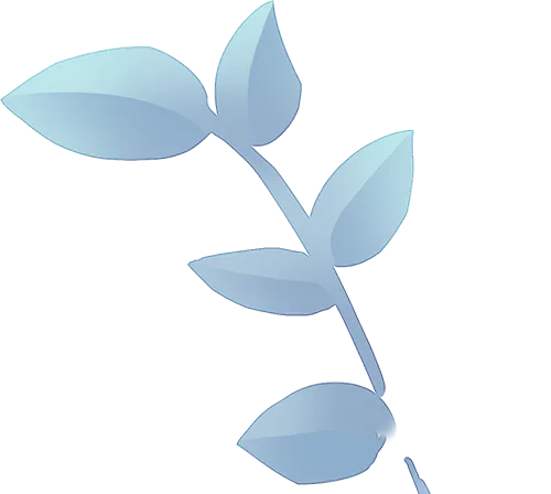 家校同心迎中考 奋楫笃行筑辉煌——初三年级家长会 第9张