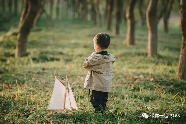 中考满分作文:《又见花开,真好》 第5张