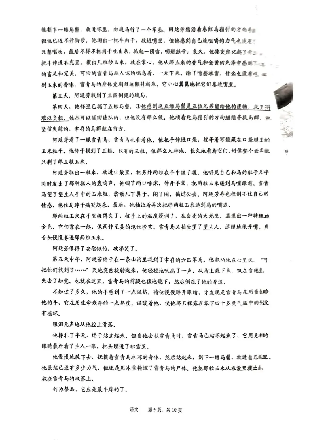 【试卷+答案】池州一模2026年池州市普通高中高三教学质量统一监测全科汇总! 第7张 【试卷+答案】池州一模2026年池州市普通高中高三教学质量统一监测全科汇总! 第7张