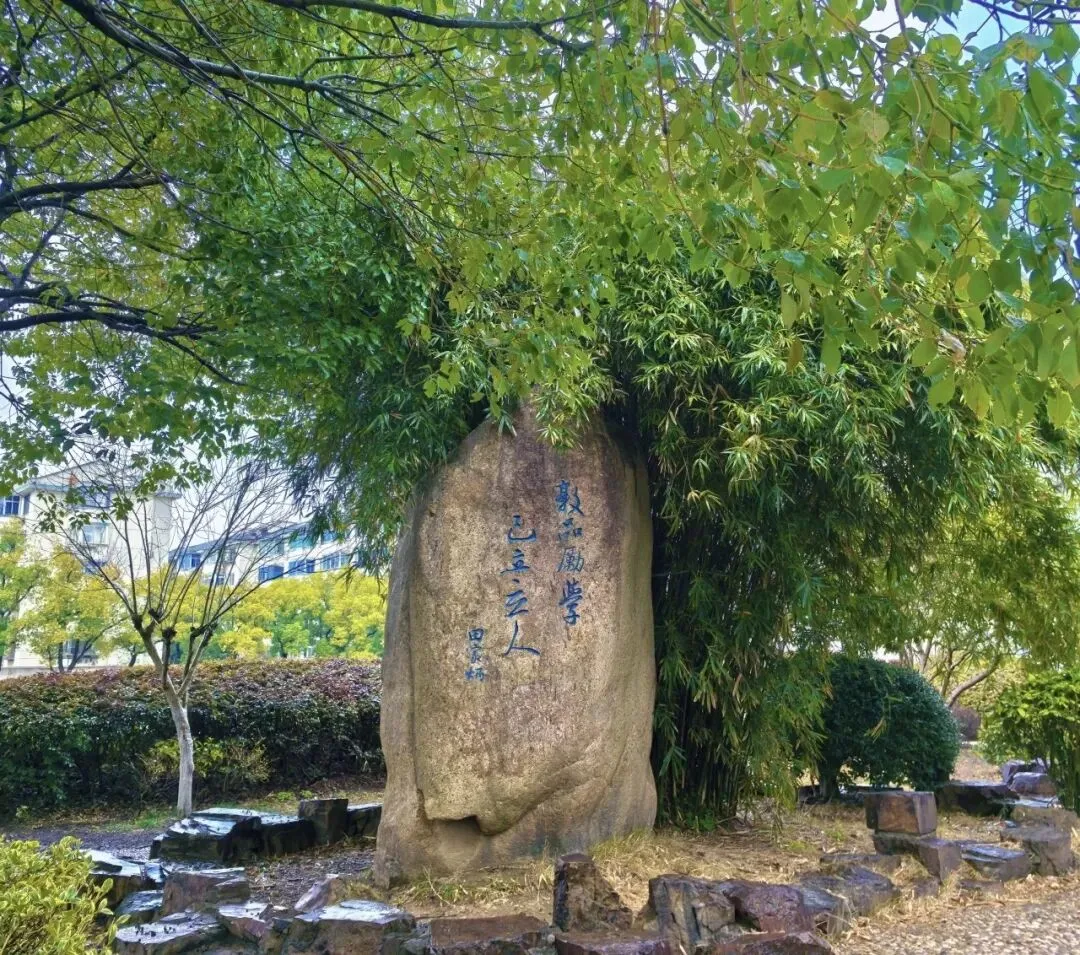 家校同心迎中考 奋楫笃行筑辉煌——初三年级家长会 第19张