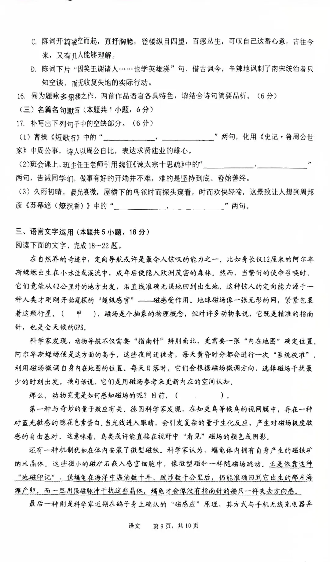 2026届池州市高三年级二模语文试卷 第9张