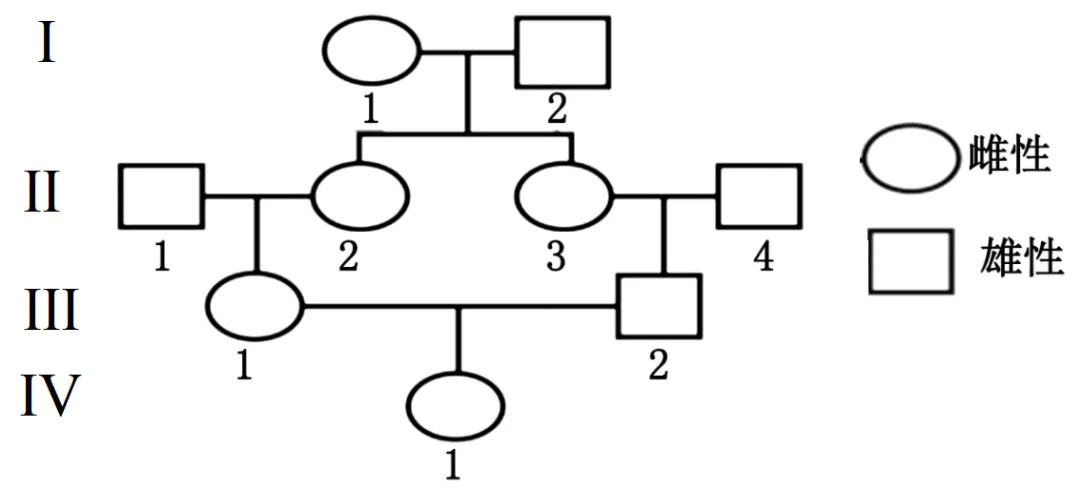 【高考真题】2025年山东卷生物试题 第1张 【高考真题】2025年山东卷生物试题 第1张