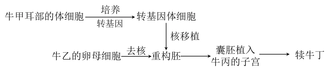 【高考真题】2025年山东卷生物试题 第3张 【高考真题】2025年山东卷生物试题 第3张