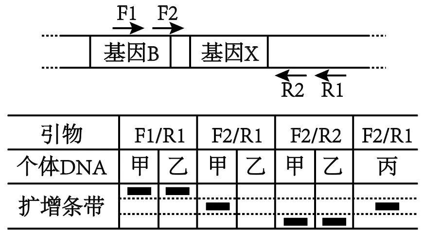【高考真题】2025年山东卷生物试题 第7张 【高考真题】2025年山东卷生物试题 第7张