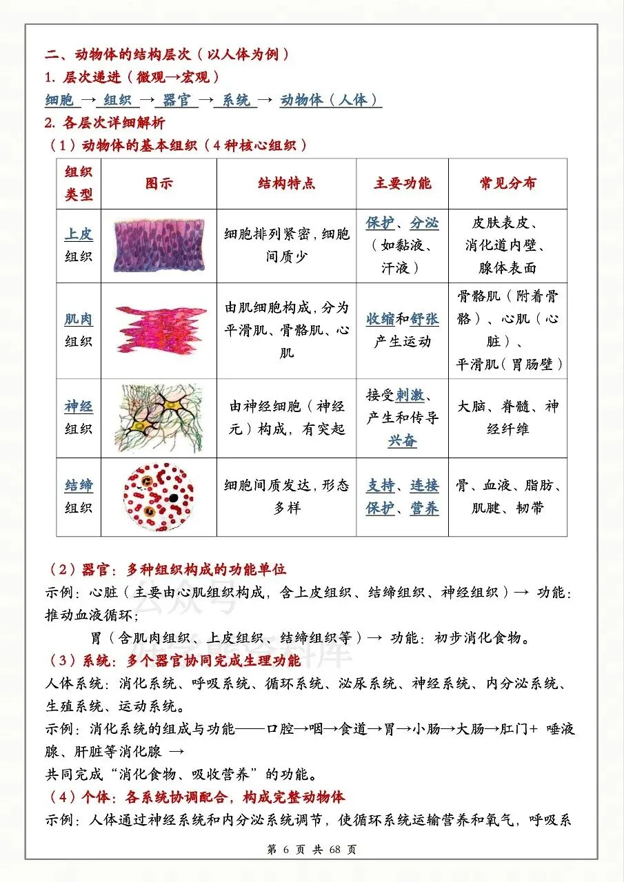 中考生物必备 第6张