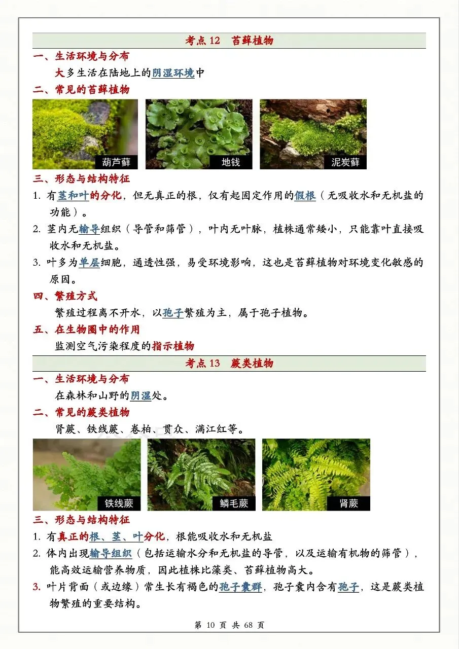 中考生物必备 第10张