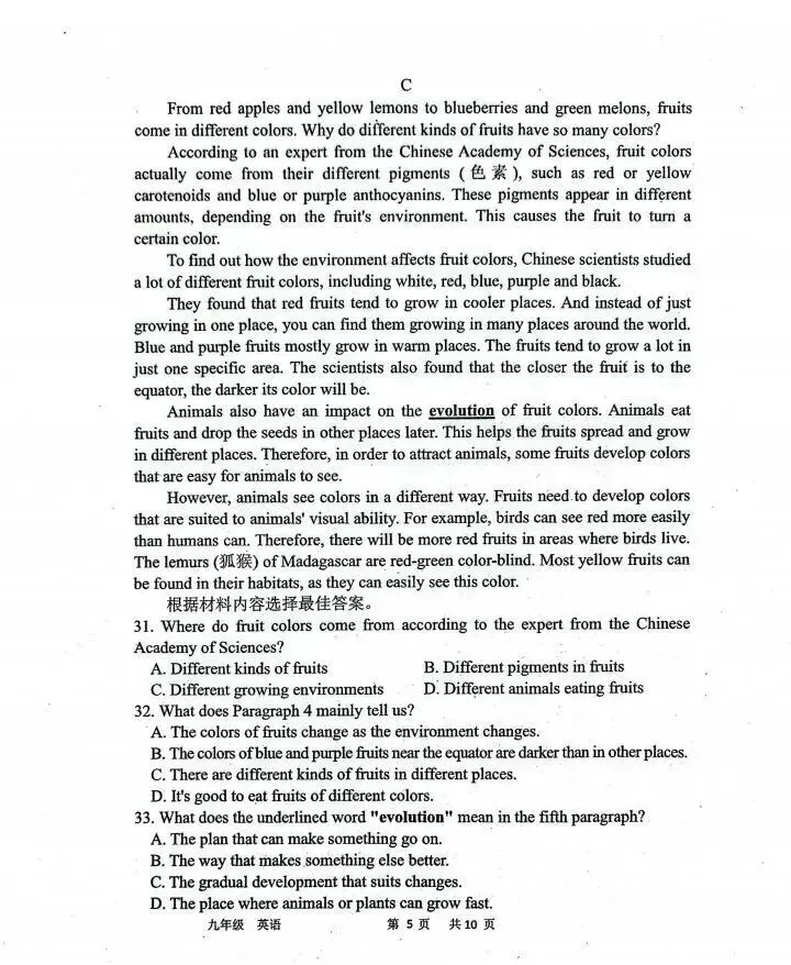 2026中考英语模拟试卷(含听力,附答案),含金量很高! 第5张