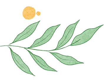 云端聚智 赋能中考—自治区“天山英才”金炜名师工作室中考复习指导专题教研活动 第9张