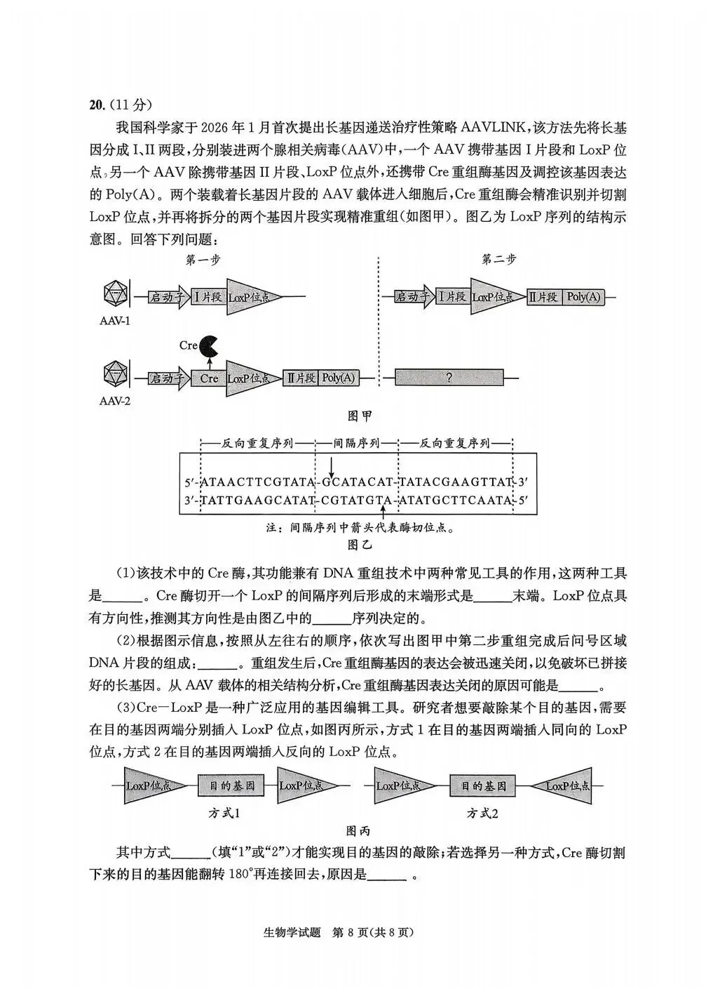2026年成都二诊(最全)9科全套真题&参考答案【高清无水印】 第38张