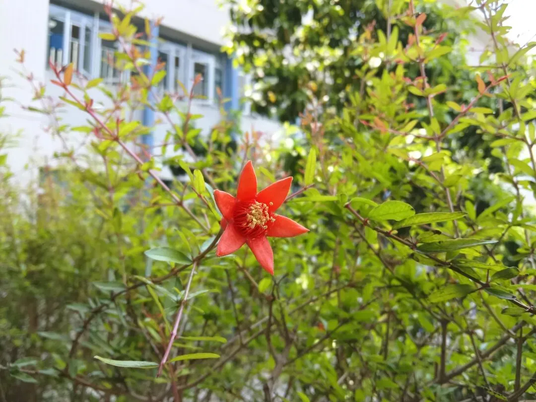 2025年广州中考作文下水文,我的得意之作为何没获奖? 第6张