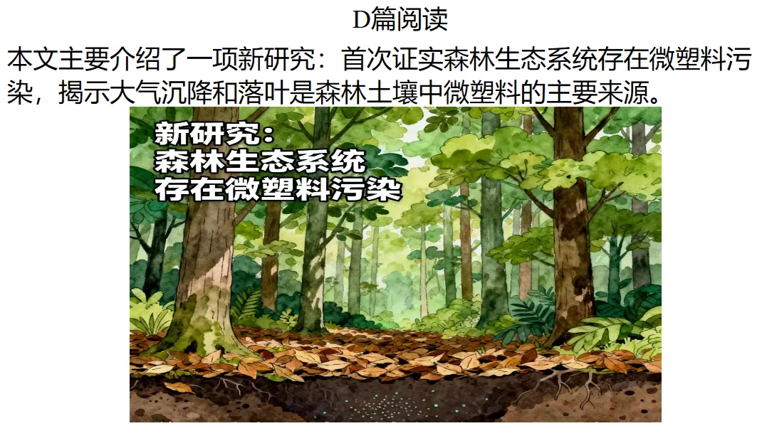 2025-2026清远一模阅读试卷讲评 第12张