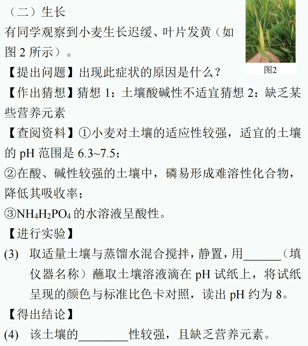 中考新题型练习14 第15张