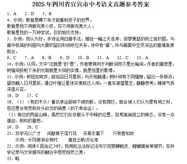 2025年四川省宜宾市中考语文真题 第3张
