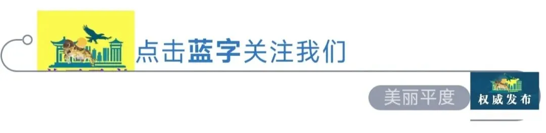 平度中考体育评分标准来了! 第1张