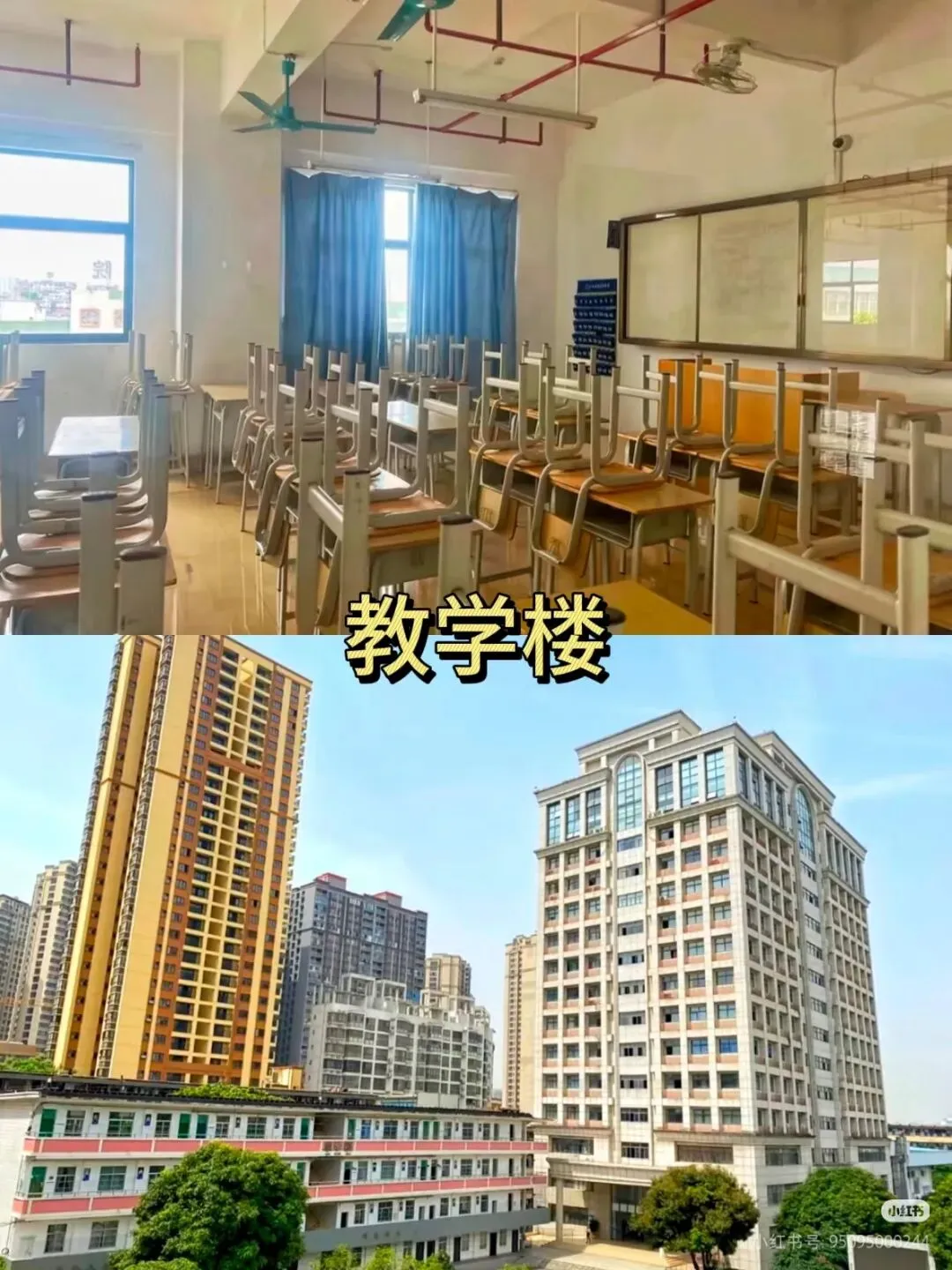 中考没考上高中,有什么出路?该怎么走? 第6张