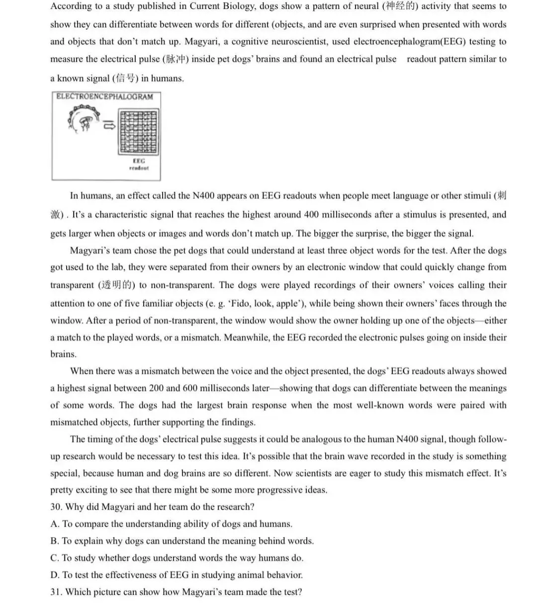 中考英语备考 | 2025西城一模D篇精读 第2张 中考英语备考 | 2025西城一模D篇精读 第2张