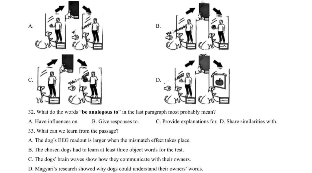 中考英语备考 | 2025西城一模D篇精读 第3张 中考英语备考 | 2025西城一模D篇精读 第3张
