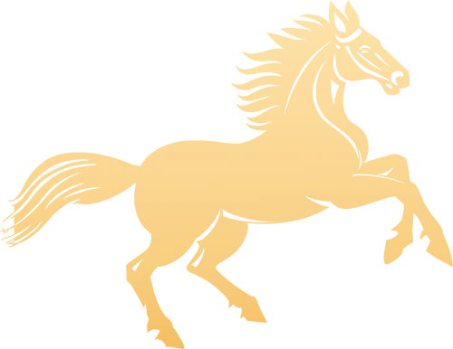 【培文动态】“勇夺六连冠 再创新辉煌”中考百日动员大会圆满举行! 第9张 【培文动态】“勇夺六连冠 再创新辉煌”中考百日动员大会圆满举行! 第9张