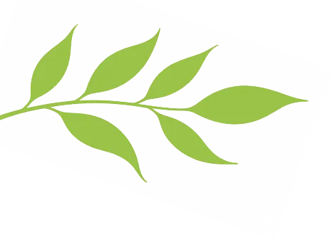 光谷二高高三学子 “不卷试卷 卷春风” 第6张 光谷二高高三学子 “不卷试卷 卷春风” 第6张
