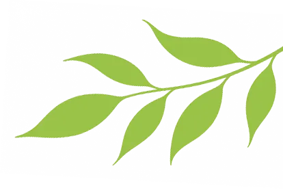 光谷二高高三学子 “不卷试卷 卷春风” 第7张 光谷二高高三学子 “不卷试卷 卷春风” 第7张