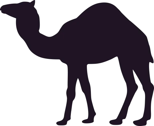 光谷二高高三学子 “不卷试卷 卷春风” 第21张 光谷二高高三学子 “不卷试卷 卷春风” 第21张