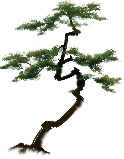 光谷二高高三学子 “不卷试卷 卷春风” 第42张 光谷二高高三学子 “不卷试卷 卷春风” 第42张