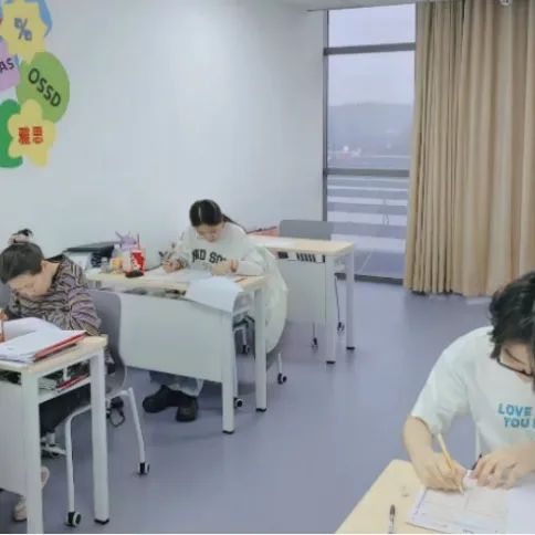 国际生备考神器:免费小程序覆盖真题/词汇/刷题,全体系适配 第35张