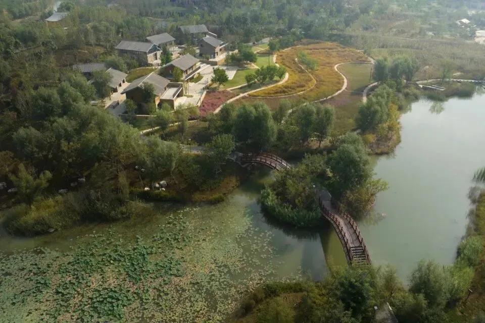 【城市广场设计】|合肥工业大学2023真题 第10张