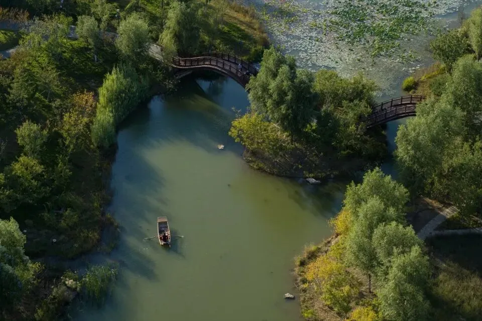 【城市广场设计】|合肥工业大学2023真题 第17张