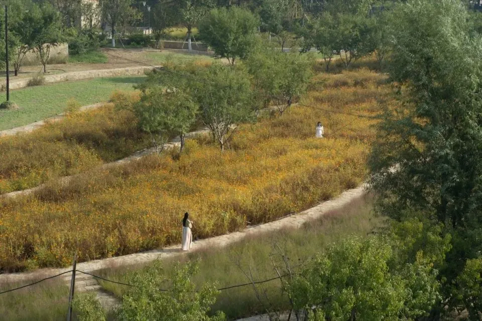 【城市广场设计】|合肥工业大学2023真题 第18张