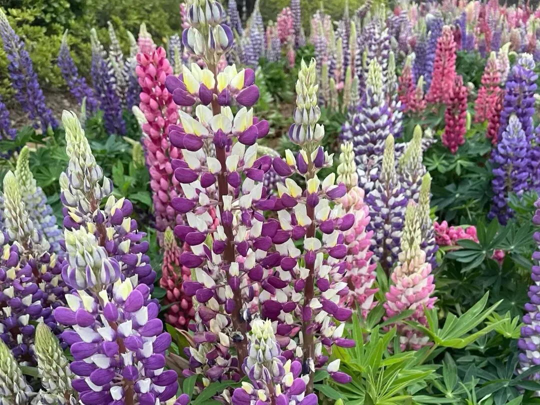 今日学习︱地理中考如何复习?这场讲座给了六个建议 第1张