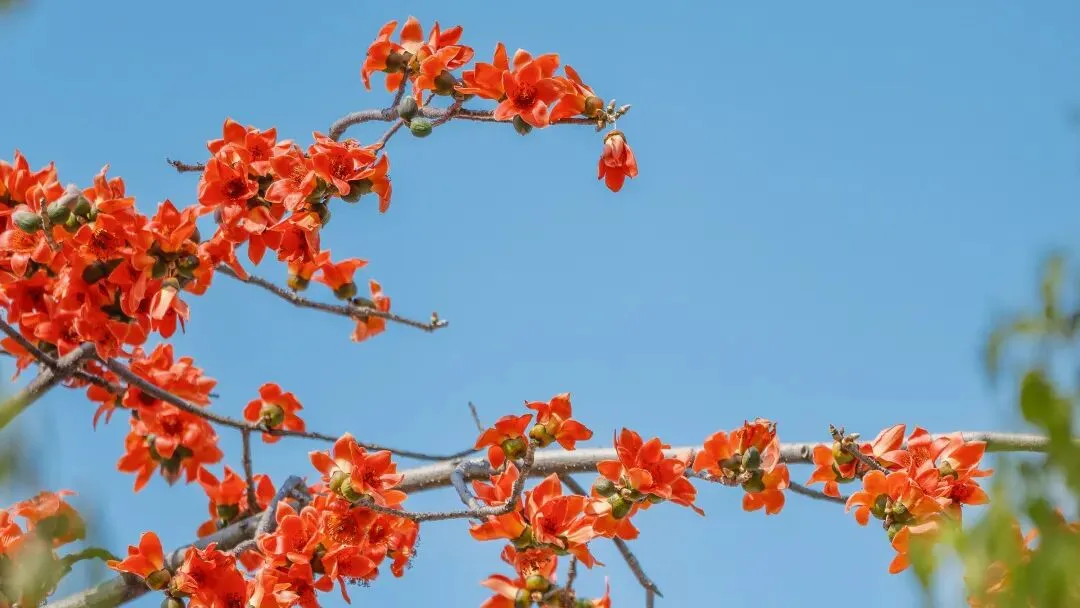 叮咚!本周日中考咨询会诚邀你进站 第3张